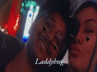 Laddybug