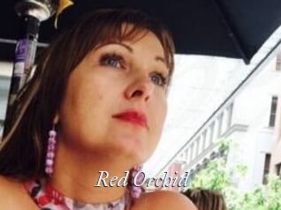 Red_Orchid