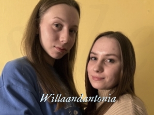 Willaandantonia